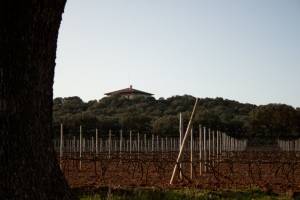 The farm, the origin of Santa Rosalía 1 261852 n