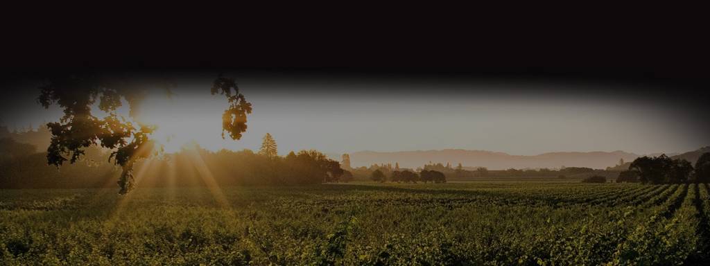 The farm, the origin of Santa Rosalía 2 bg header