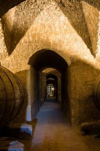 CaveIntérieur 1