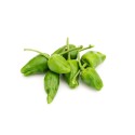 Pimientos ecológicos tipo Padrón (dulces) 1Kg