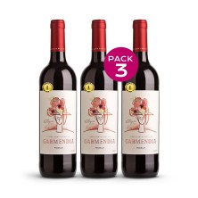 Botella de vino Garmendia Tinto Roble 2019