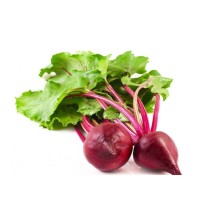 Bunch of beets from the Santa Rosalía Farm