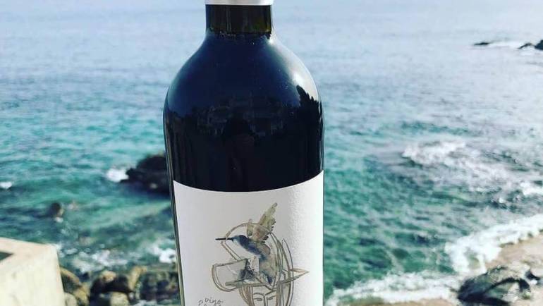 Garmendia Organic Wine